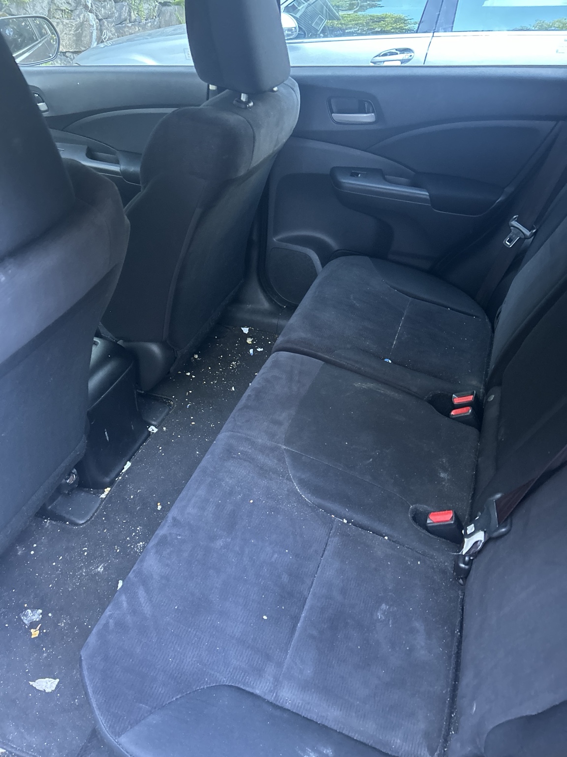 Back seat before interior detail